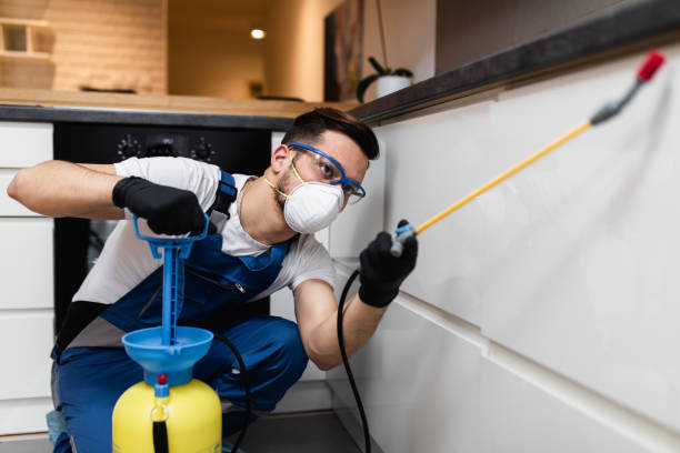 Best Pest Control Near Me  in Bell Gardens, CA