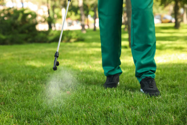 Best Ant Control Services  in Bell Gardens, CA