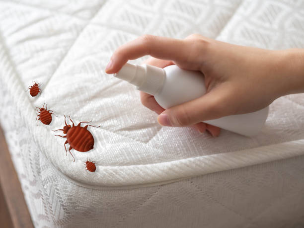 Best Cockroach Control Services  in Bell Gardens, CA