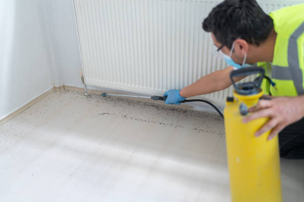 Professional Pest Control in Bell Gardens, CA